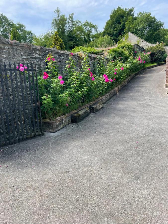 Large Townhouse With Gardens Apartment Kingscourt Luaran gambar
